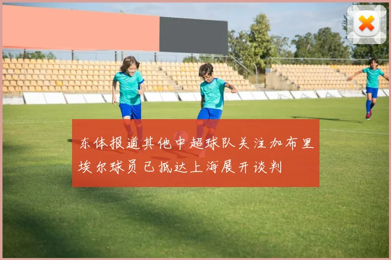 东体报道其他中超球队关注加布里埃尔球员已抵达上海展开谈判