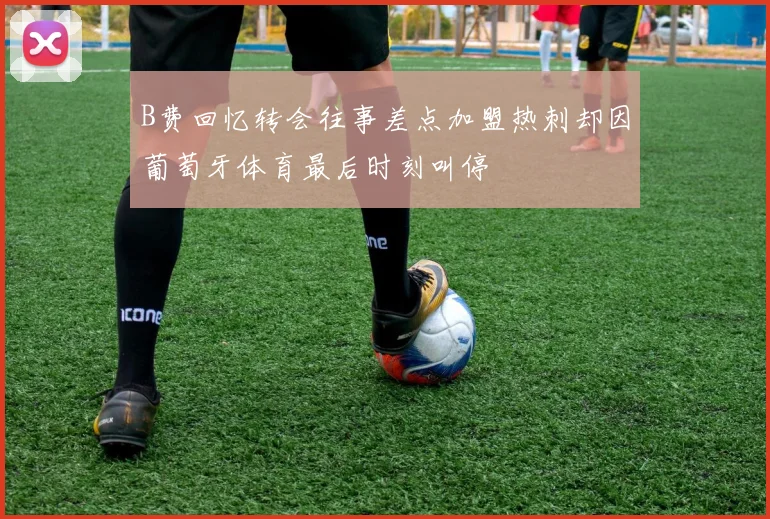 B费回忆转会往事差点加盟热刺却因葡萄牙体育最后时刻叫停
